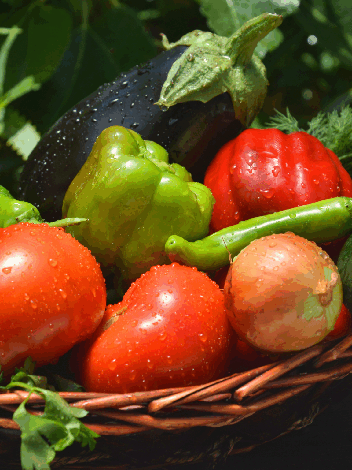 Légumes d'été