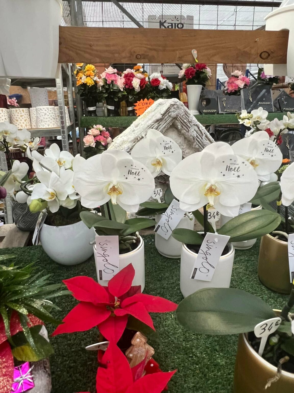 Compositions florales