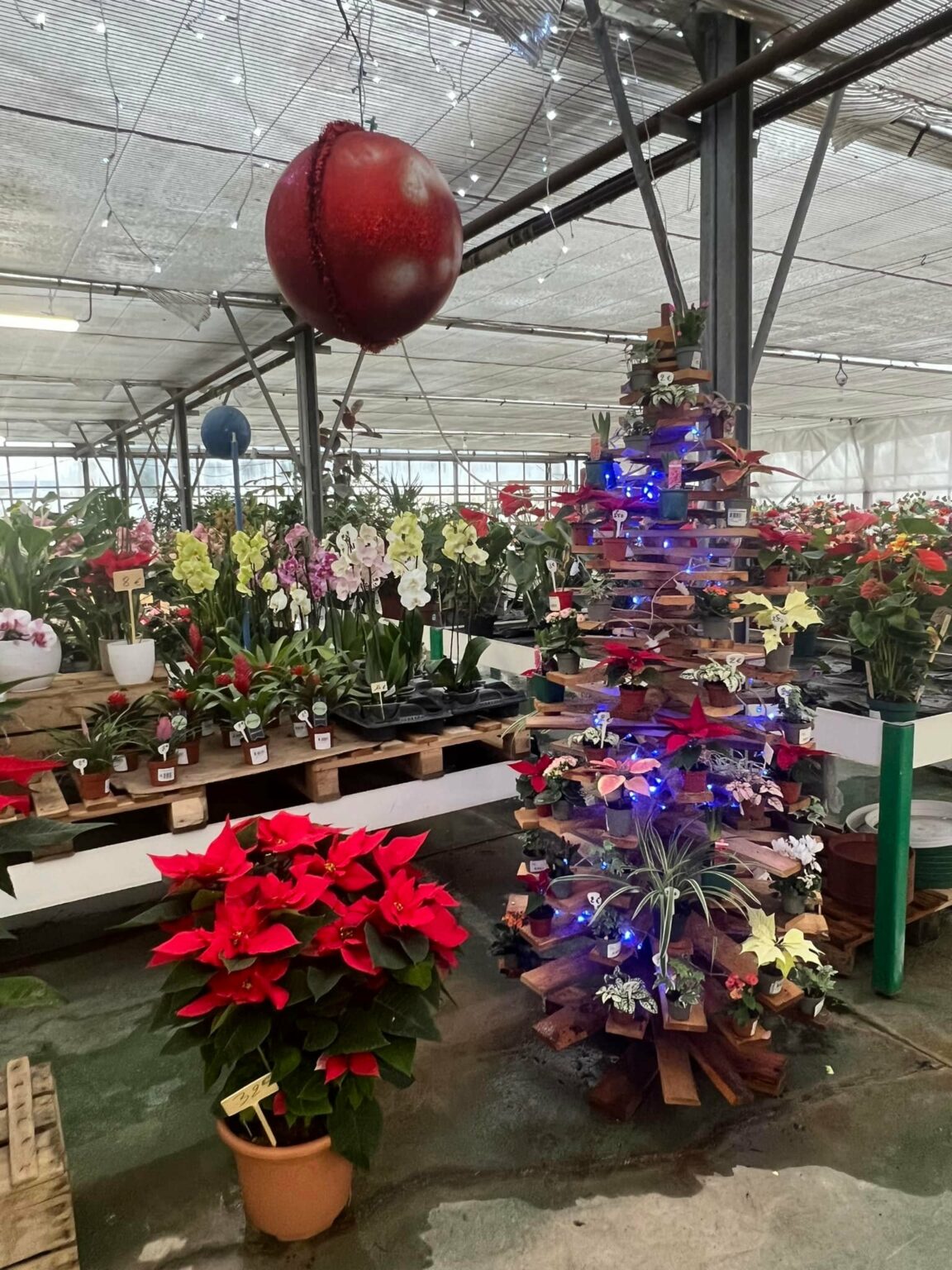 Décorations de Noël