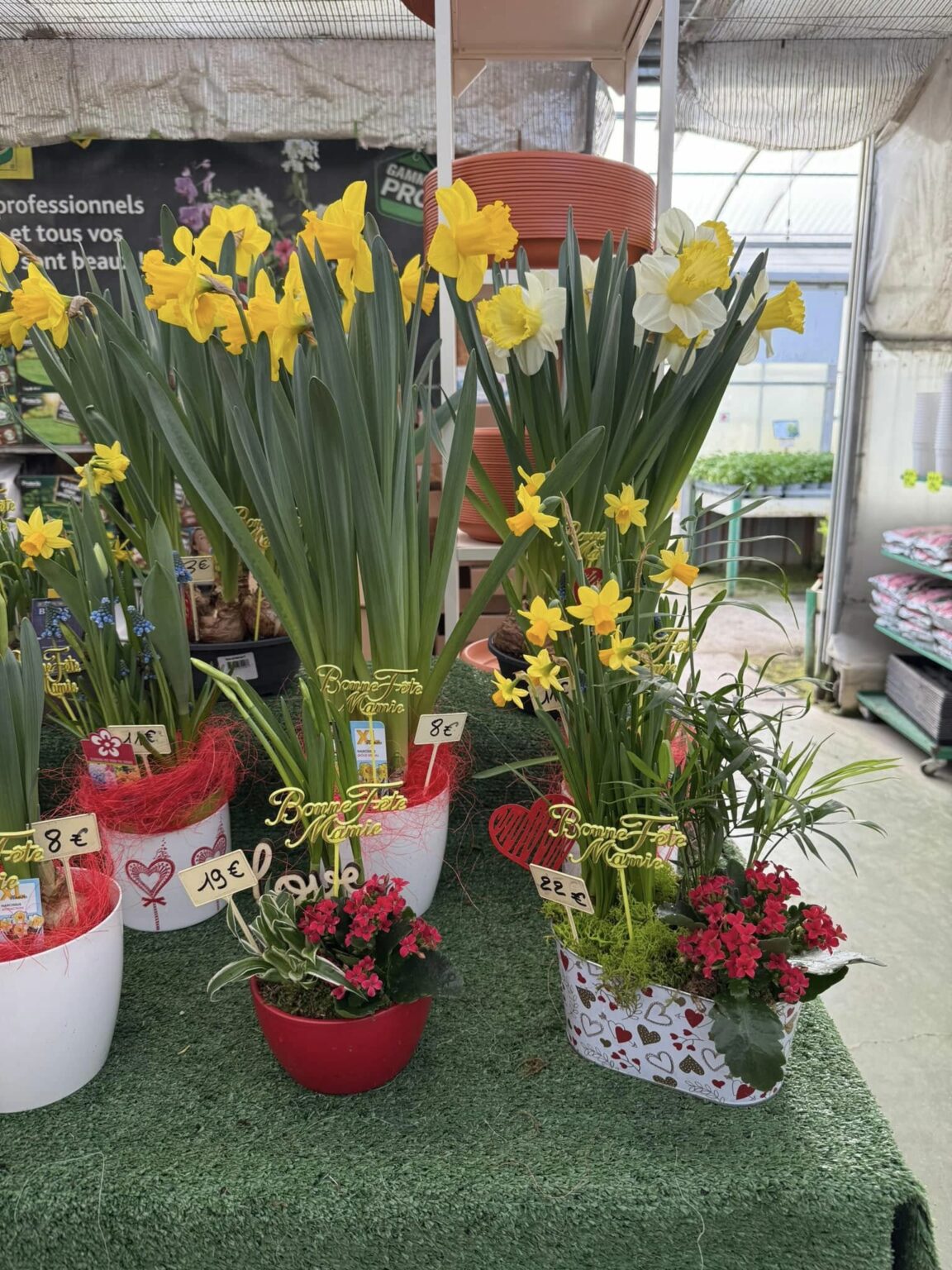 Compositions florales