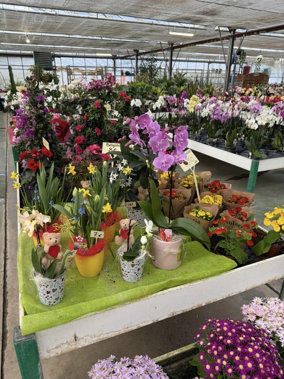 Compositions florales