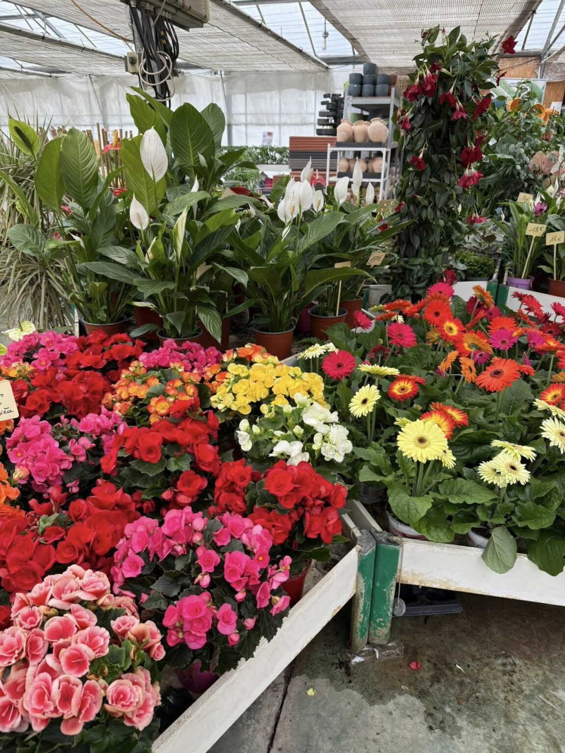 Autres produits disponibles