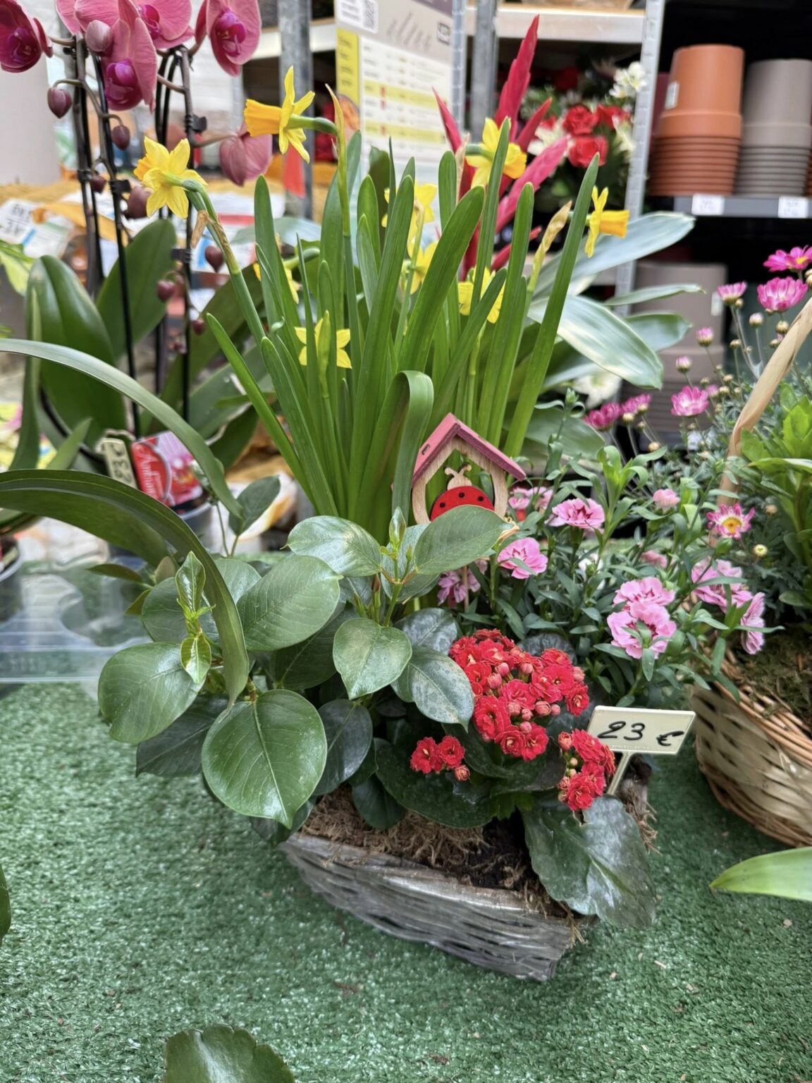 Compositions florales