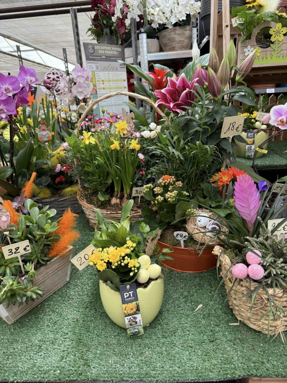 Compositions florales