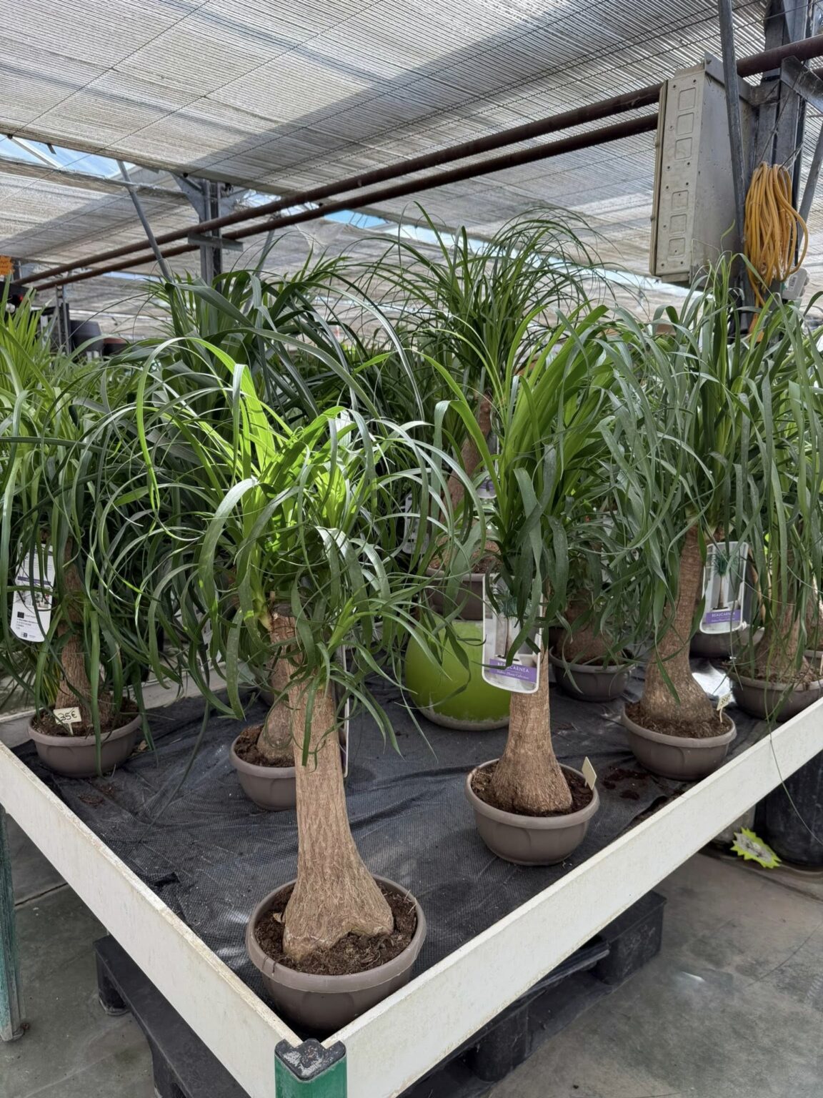 Autres produits disponibles