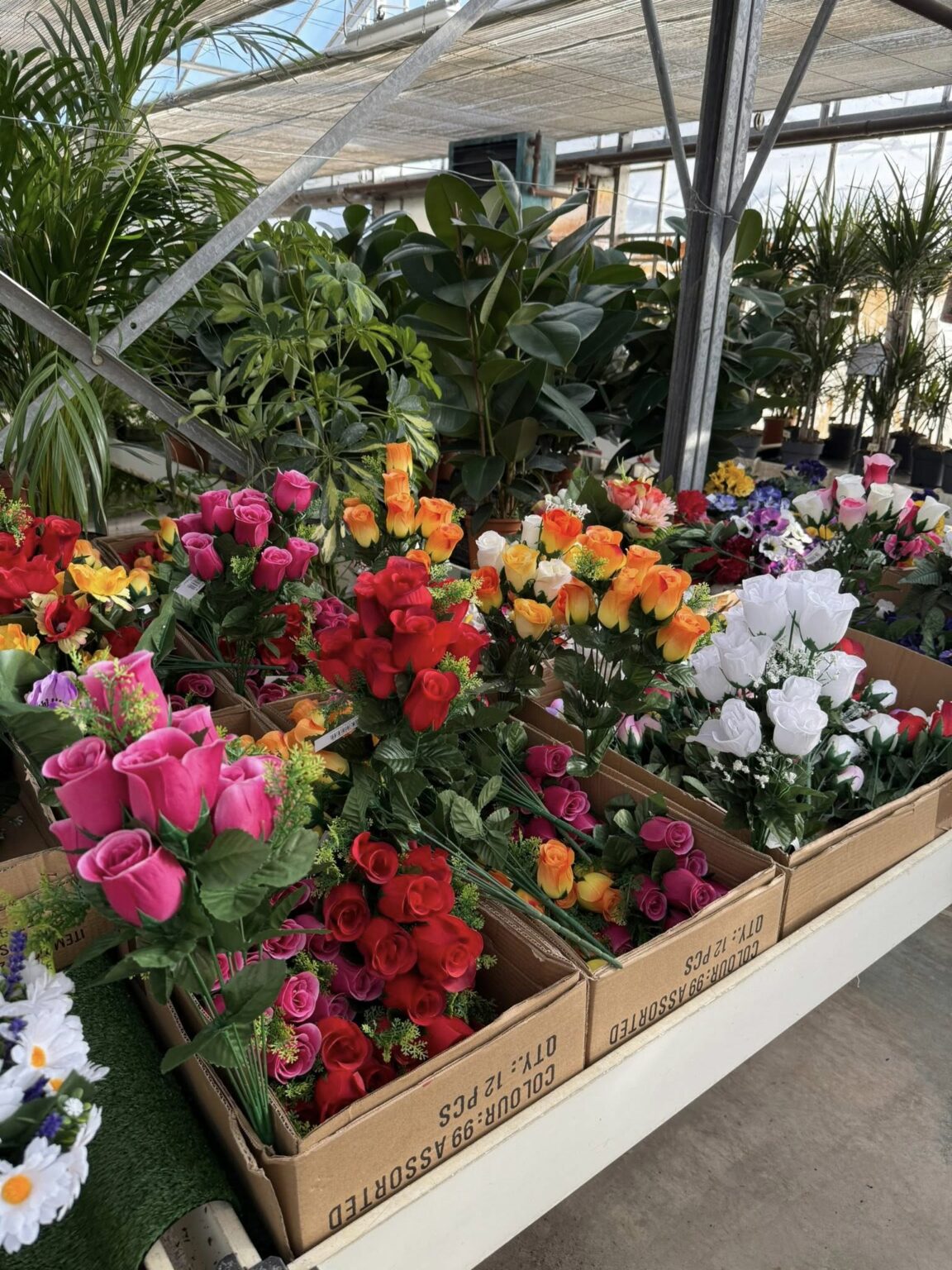 548392949_1197507335732425_9049286680869922490_n