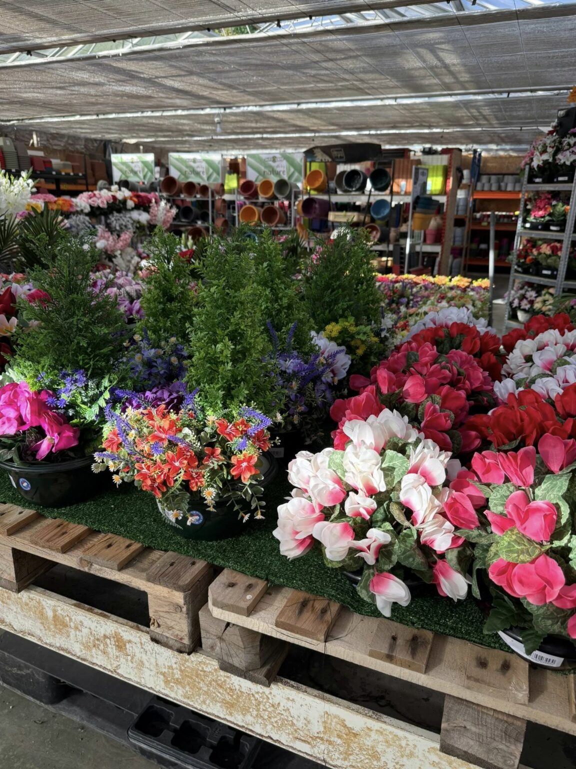 Compositions florales