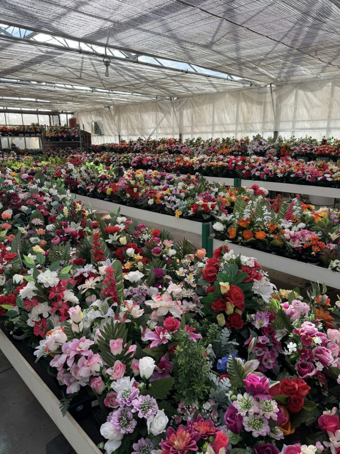 Compositions florales