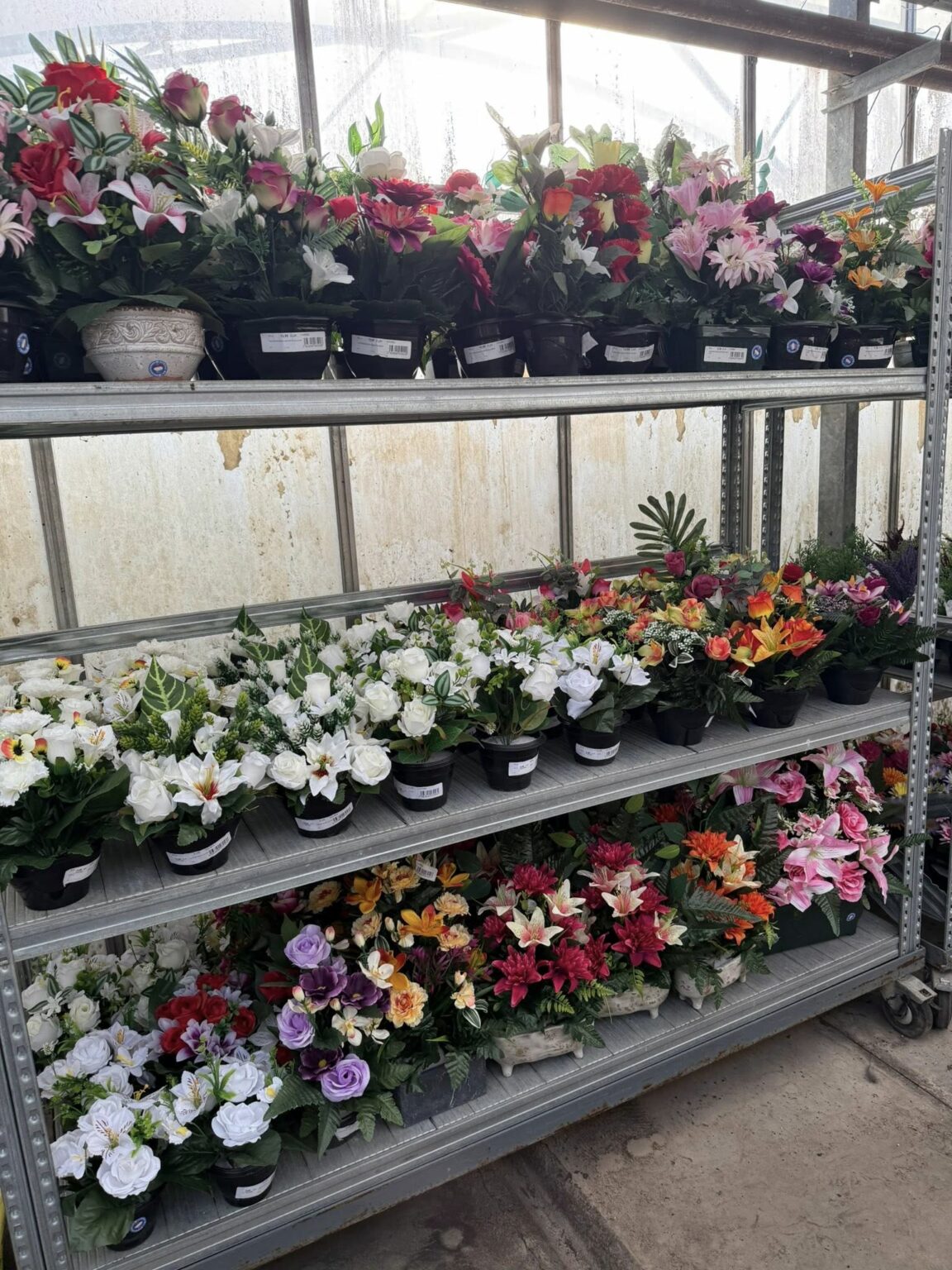 Compositions florales