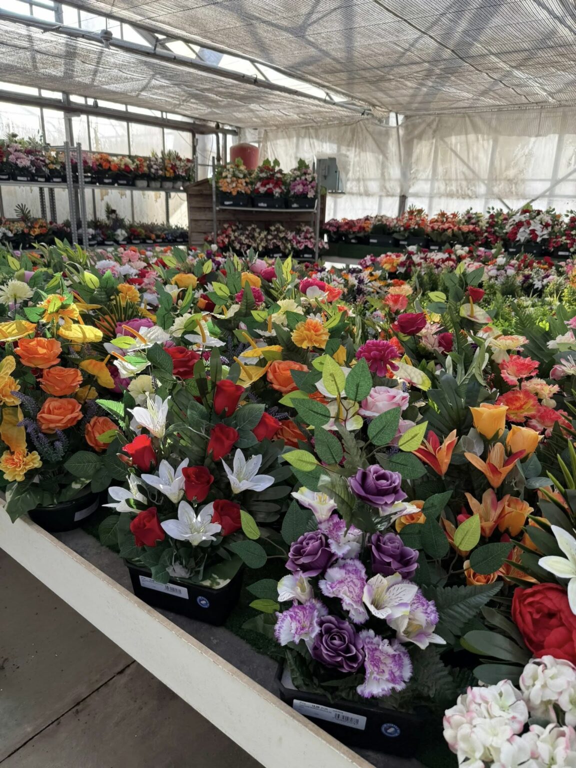 Compositions florales