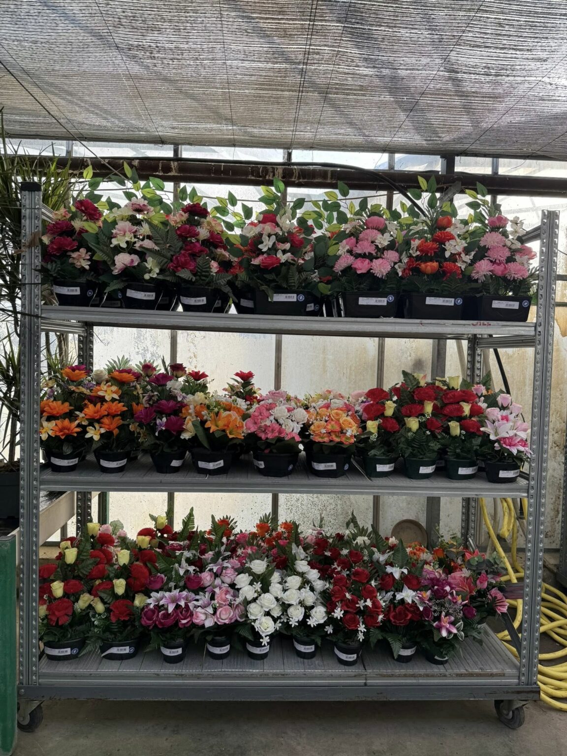 Compositions florales