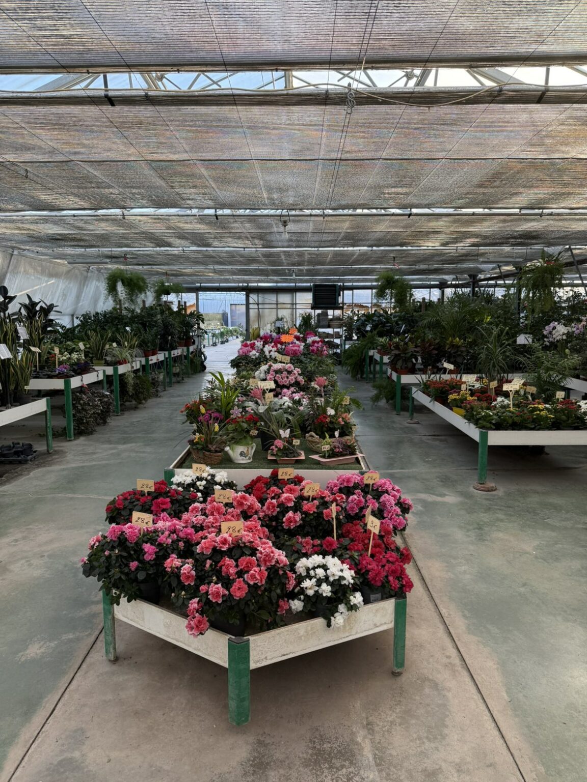 Ck0KS1NuYXBjaGF0LzEzLjYxLjEuMCAoU00tRjc0MUI7IEFuZHJvaWQgMTYjRjc0MUJYWFUyQ1lJNiMzNjsgZ3ppcCkgVi9NVVNIUk9PTQ==