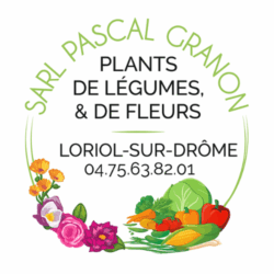Granon Pascal